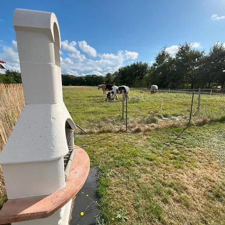 Cuxkieker- Moderne In Cuxhaven-sahlenburg Куксхафен